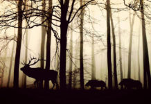 Enjoy Every Morning On The Beach