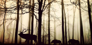 The Things That Matter