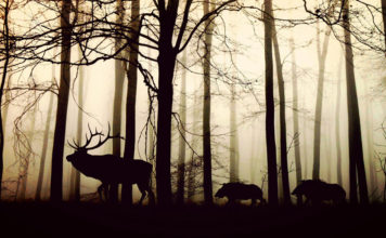 The Things That Matter