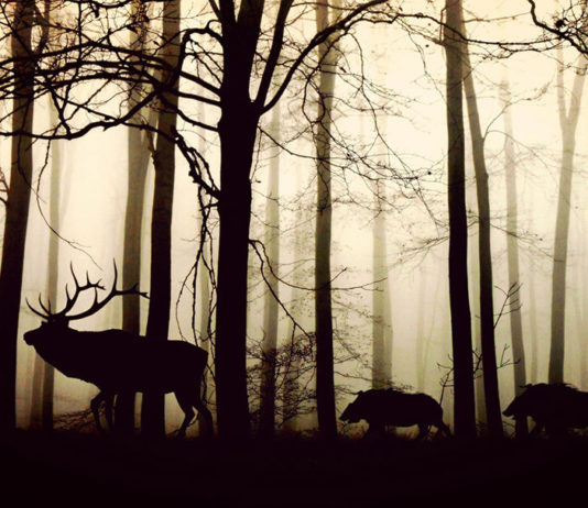 Enjoy Every Morning On The Beach