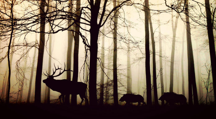 Enjoy Every Morning On The Beach