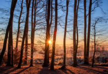 The Perfect Shoes and Bags to Pair With Spring Looks