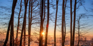 Best Ingredients To Have For Cooking