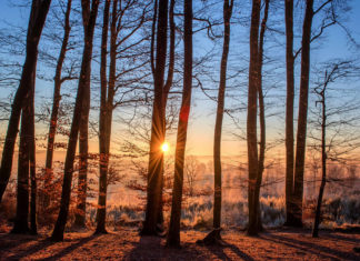 The Perfect Shoes and Bags to Pair With Spring Looks