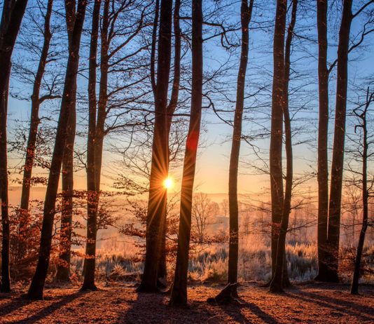 Best Ingredients To Have For Cooking