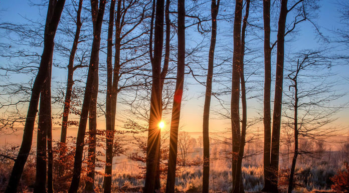 Best Ingredients To Have For Cooking