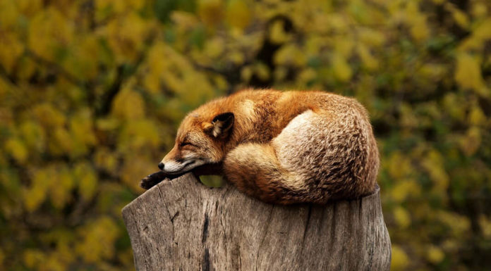 Be Positive And Enjoy Every Ride