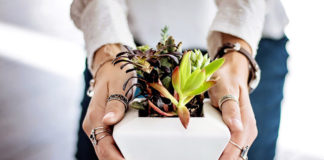 Banana Pancakes Are Just Delicious