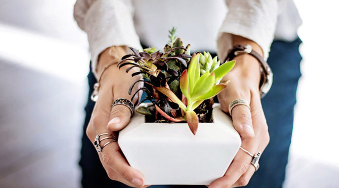 Spring Accessory With Personality