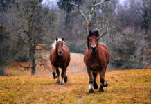 Weekend Mode – Relaxing