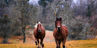 Style Tips to Look Instantly Slimmer