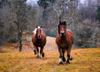 Style Tips to Look Instantly Slimmer