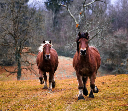 Weekend Mode – Relaxing