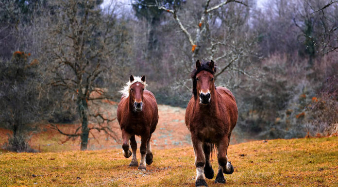 Style Tips to Look Instantly Slimmer